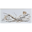 thumbnail Nogalina y pintura sintetica 36 X 76 cm 
