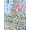 thumbnail Watercolor 40 x 30 cm